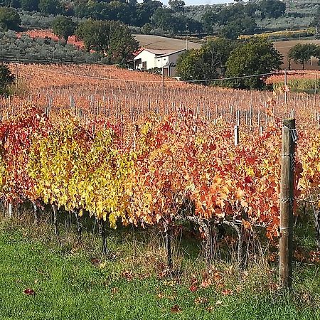 Antico Gioiello Umbro , Appartamento Con Terrazza Foligno Buitenkant foto