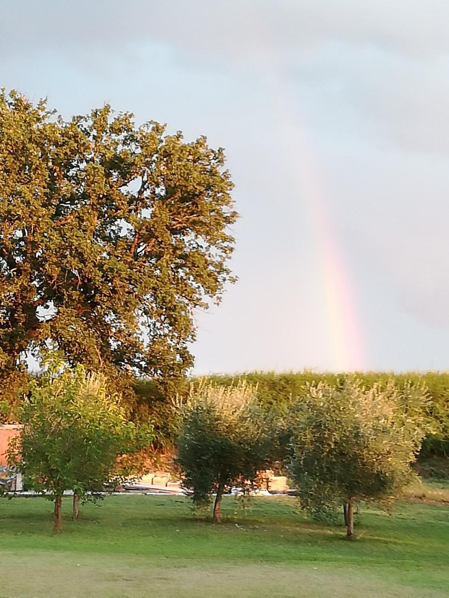 Antico Gioiello Umbro , Appartamento Con Terrazza Foligno Buitenkant foto