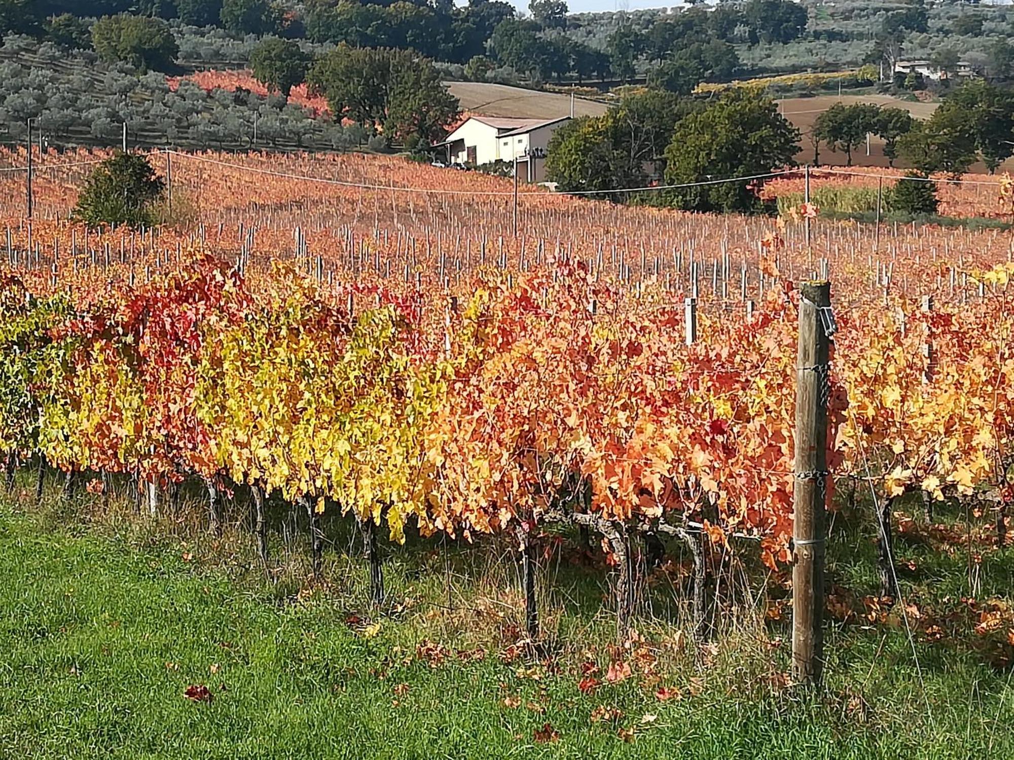 Antico Gioiello Umbro , Appartamento Con Terrazza Foligno Buitenkant foto