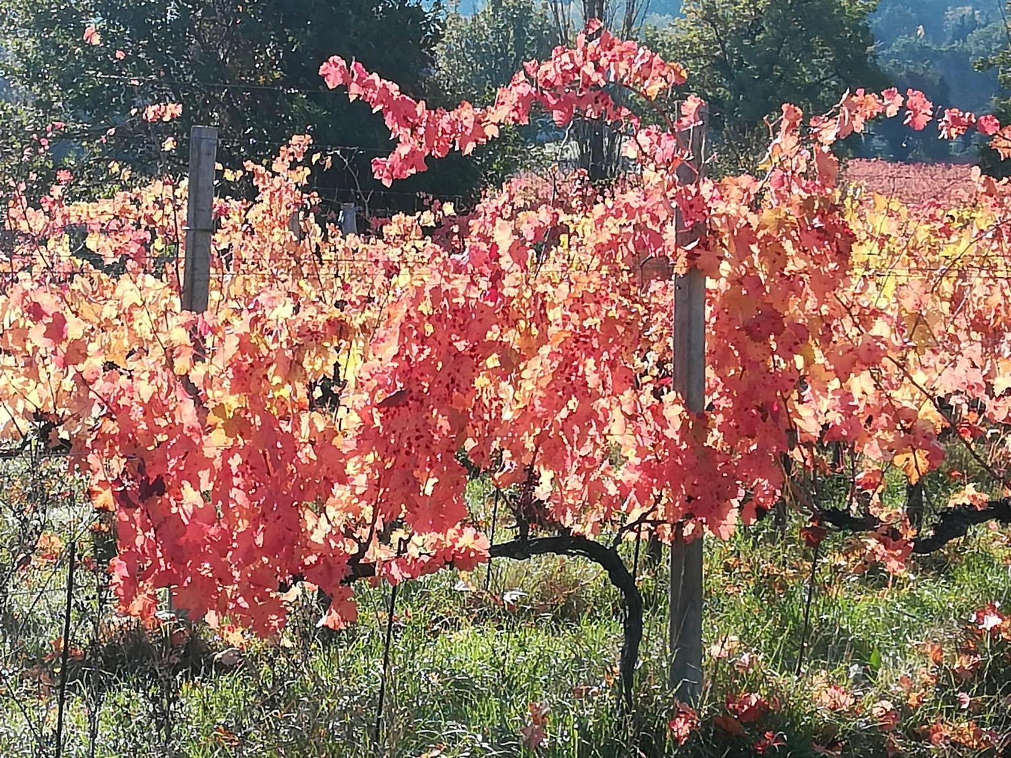 Antico Gioiello Umbro , Appartamento Con Terrazza Foligno Buitenkant foto